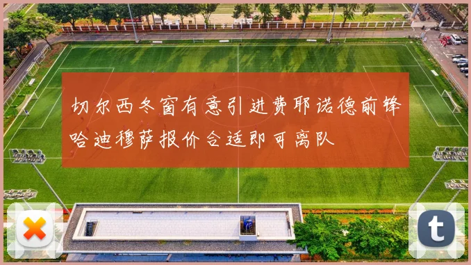 切尔西冬窗有意引进费耶诺德前锋哈迪穆萨报价合适即可离队