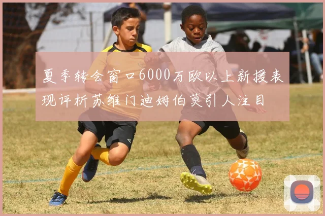 夏季转会窗口6000万欧以上新援表现评析苏维门迪姆伯莫引人注目