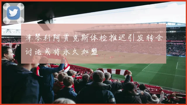 津琴科阿贾克斯体检推迟引发转会讨论或将永久加盟
