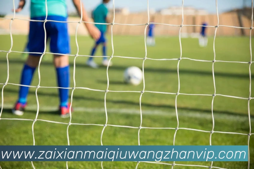 多媒体互动体验